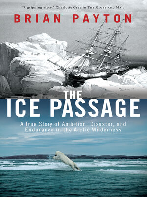 cover image of The Ice Passage